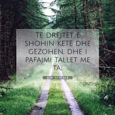 Picture 07 - Jobi 22:19 ALB - Të drejtët e shohin këtë dhe gëzohen, dhe i - Bible Verse Picture