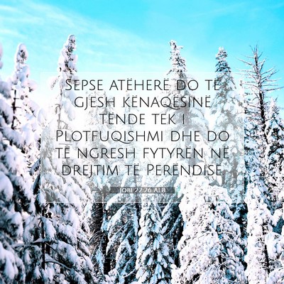 Picture 07 - Jobi 22:26 ALB - Sepse atëherë do të gjesh kënaqësinë tënde - Bible Verse Picture