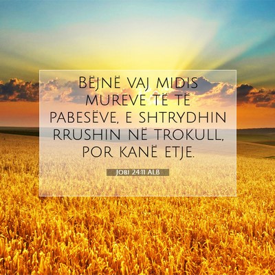 Picture 07 - Jobi 24:11 ALB - Bëjnë vaj midis mureve të të pabesëve, e - Bible Verse Picture