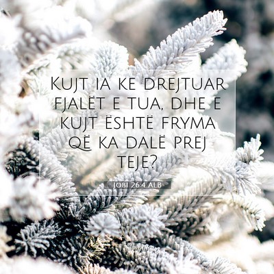 Picture 07 - Jobi 26:4 ALB - Kujt ia ke drejtuar fjalët e tua, dhe e kujt - Bible Verse Picture