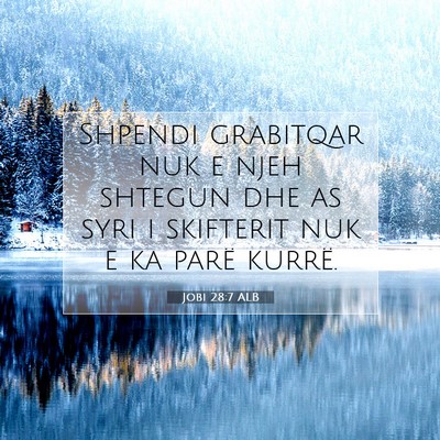 Picture 07 - Jobi 28:7 ALB - Shpendi grabitqar nuk e njeh shtegun dhe as syri - Bible Verse Picture