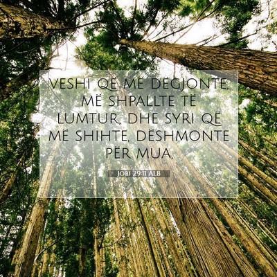 Picture 07 - Jobi 29:11 ALB - veshi që më dëgjonte, më shpallte të lumtur, - Bible Verse Picture