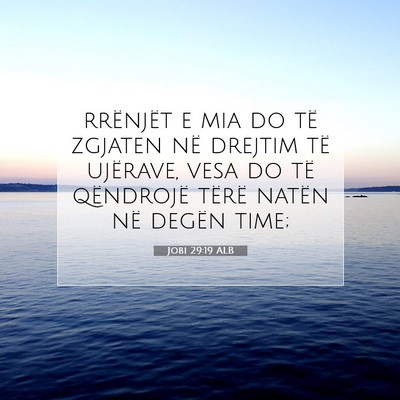 Picture 07 - Jobi 29:19 ALB - rrënjët e mia do të zgjaten në drejtim të - Bible Verse Picture