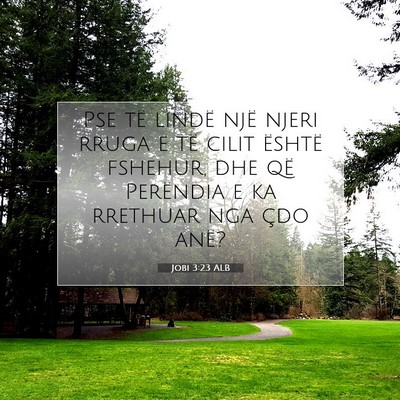 Picture 07 - Jobi 3:23 ALB - Pse të lindë një njeri rruga e të cilit - Bible Verse Picture