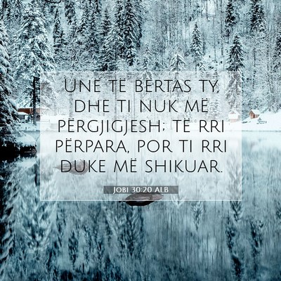 Picture 07 - Jobi 30:20 ALB - Unë të bërtas ty, dhe ti nuk më përgjigjesh; - Bible Verse Picture