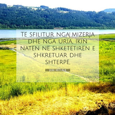 Picture 07 - Jobi 30:3 ALB - Të sfilitur nga mizerja dhe nga uria, ikin - Bible Verse Picture