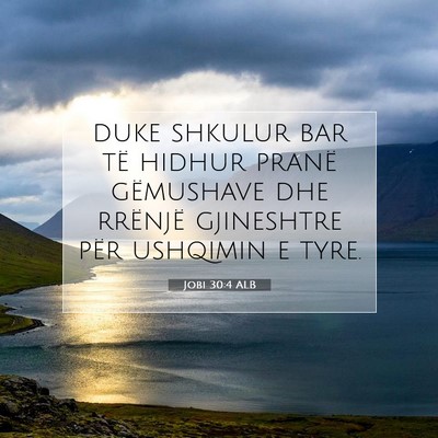 Picture 07 - Jobi 30:4 ALB - duke shkulur bar të hidhur pranë gëmushave dhe - Bible Verse Picture