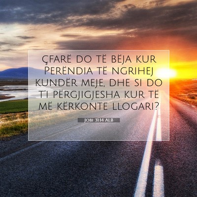 Picture 07 - Jobi 31:14 ALB - çfarë do të bëja kur Perëndia të ngrihej - Bible Verse Picture