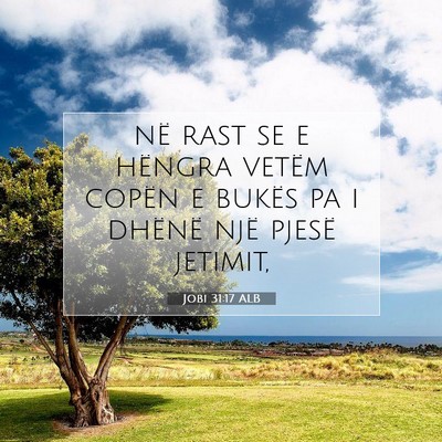 Picture 07 - Jobi 31:17 ALB - në rast se e hëngra vetëm copën e bukës pa i - Bible Verse Picture