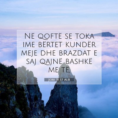 Picture 07 - Jobi 31:37 ALB - Në qoftë se toka ime bërtet kundër meje dhe - Bible Verse Picture