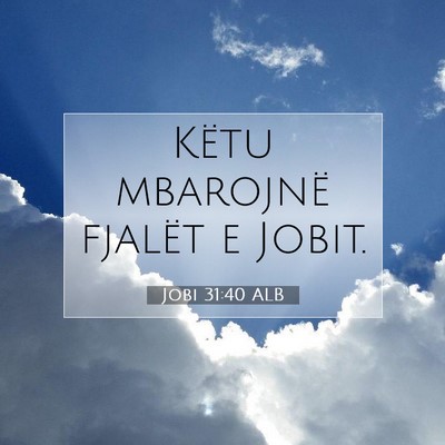 Picture 07 - Jobi 31:40 ALB - Këtu mbarojnë fjalët e - Bible Verse Picture