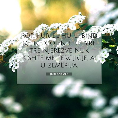 Picture 07 - Jobi 32:5 ALB - Por kur Elihu u bind që në gojën e këtyre tre - Bible Verse Picture