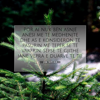 Picture 07 - Jobi 34:19 ALB - Por ai nuk bën asnjë anësi me të mëdhenjtë - Bible Verse Picture