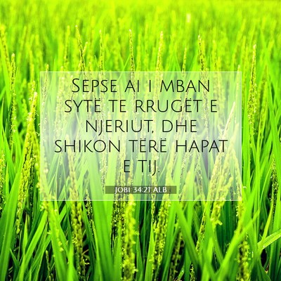 Picture 07 - Jobi 34:21 ALB - Sepse ai i mban sytë te rrugët e njeriut, dhe - Bible Verse Picture