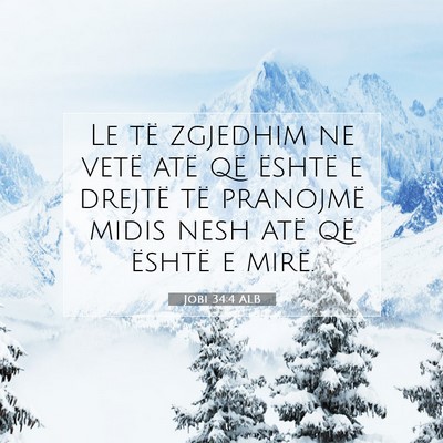 Picture 07 - Jobi 34:4 ALB - Le të zgjedhim ne vetë atë që është e - Bible Verse Picture