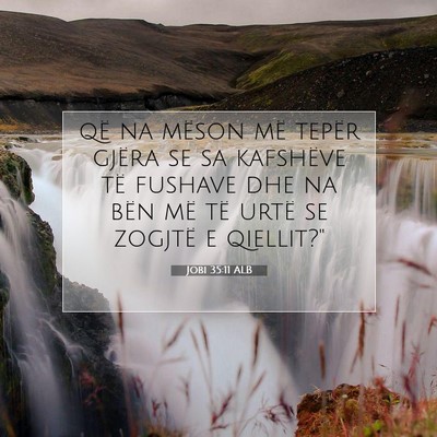 Picture 07 - Jobi 35:11 ALB - që na mëson më tepër gjëra se sa kafshëve - Bible Verse Picture