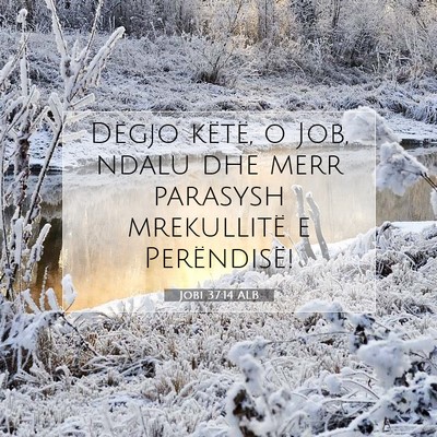 Picture 07 - Jobi 37:14 ALB - Dëgjo këtë, o Job, ndalu dhe merr parasysh - Bible Verse Picture