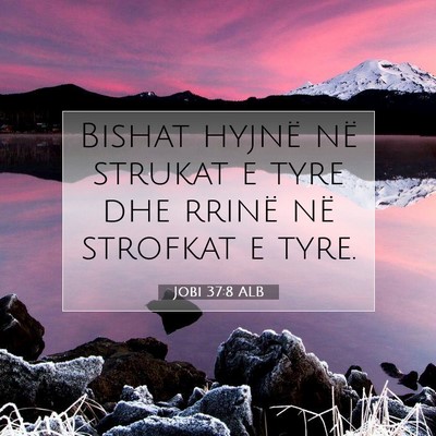 Picture 07 - Jobi 37:8 ALB - Bishat hyjnë në strukat e tyre dhe rrinë në - Bible Verse Picture