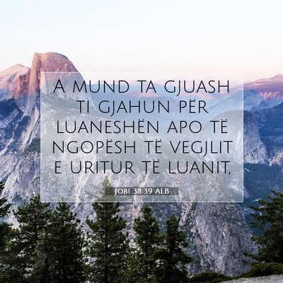 Picture 07 - Jobi 38:39 ALB - A mund ta gjuash ti gjahun për luaneshën apo - Bible Verse Picture