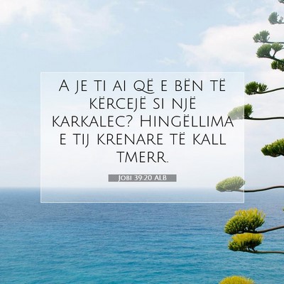 Picture 07 - Jobi 39:20 ALB - A je ti ai që e bën të kërcejë si një - Bible Verse Picture