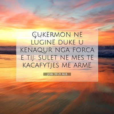Picture 07 - Jobi 39:21 ALB - Çukërmon në luginë duke u kënaqur nga forca - Bible Verse Picture