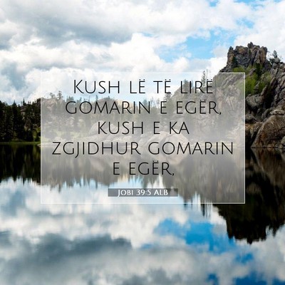 Picture 07 - Jobi 39:5 ALB - Kush lë të lirë gomarin e egër, kush e ka - Bible Verse Picture