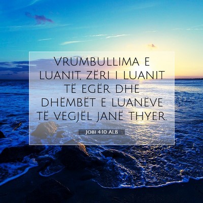 Picture 07 - Jobi 4:10 ALB - Vrumbullima e luanit, zëri i luanit të egër - Bible Verse Picture
