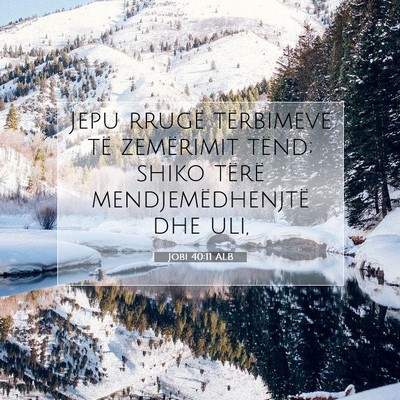 Picture 07 - Jobi 40:11 ALB - Jepu rrugë tërbimeve të zemërimit tënd; - Bible Verse Picture
