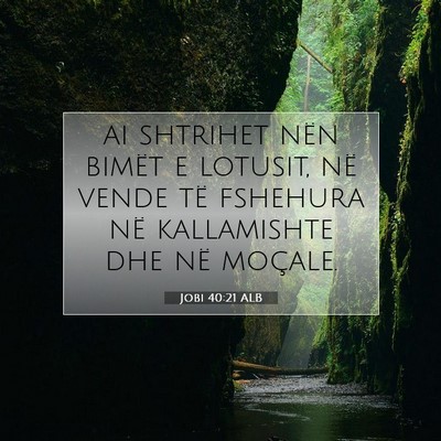 Picture 07 - Jobi 40:21 ALB - ai shtrihet nën bimët e lotusit, në vende të - Bible Verse Picture