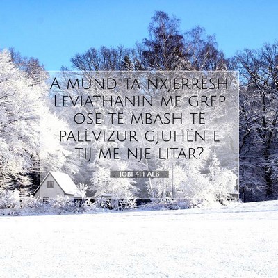 Picture 07 - Jobi 41:1 ALB - A mund ta nxjerrësh Leviathanin me grep ose të - Bible Verse Picture