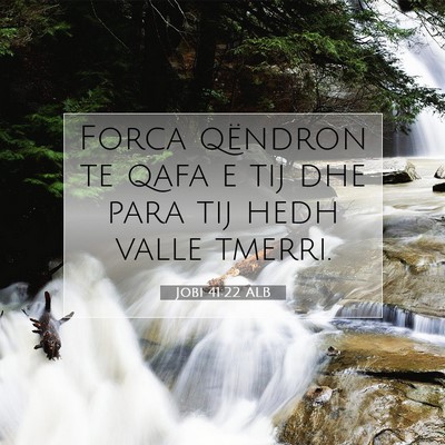 Picture 07 - Jobi 41:22 ALB - Forca qëndron te qafa e tij dhe para tij hedh - Bible Verse Picture