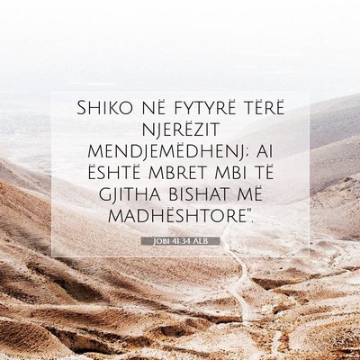 Picture 07 - Jobi 41:34 ALB - Shiko në fytyrë tërë njerëzit - Bible Verse Picture