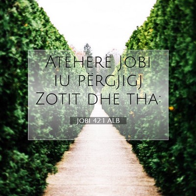 Picture 07 - Jobi 42:1 ALB - Atëherë Jobi iu përgjigj Zotit dhe - Bible Verse Picture