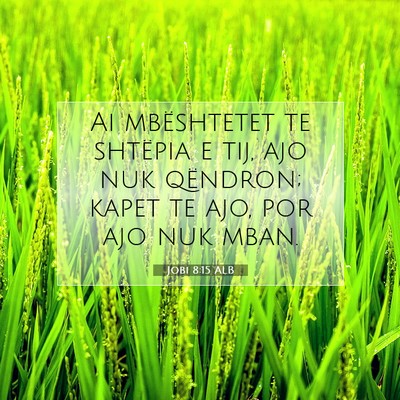 Picture 07 - Jobi 8:15 ALB - Ai mbështetet te shtëpia e tij, ajo nuk - Bible Verse Picture