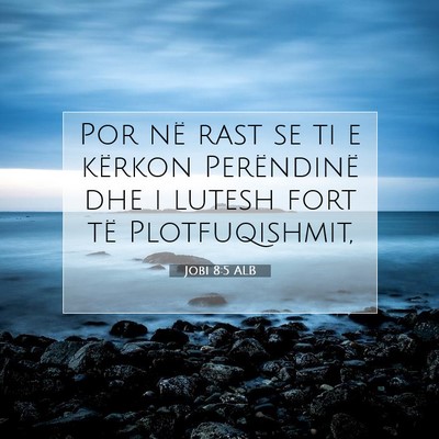 Picture 07 - Jobi 8:5 ALB - Por në rast se ti e kërkon Perëndinë dhe i - Bible Verse Picture