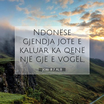 Picture 07 - Jobi 8:7 ALB - Ndonëse gjendja jote e kaluar ka qenë një gjë - Bible Verse Picture