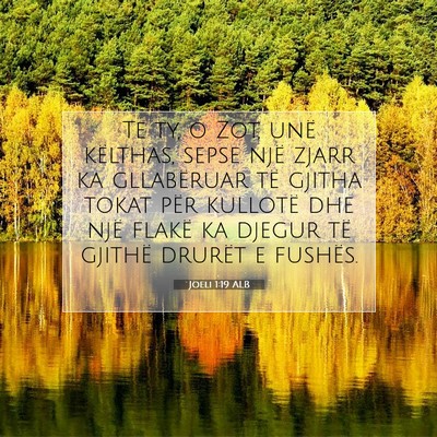 Picture 07 - Joeli 1:19 ALB - Te ty, o Zot, unë këlthas, sepse një zjarr ka - Bible Verse Picture