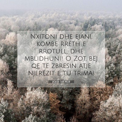 Picture 07 - Joeli 3:11 ALB - Nxitoni dhe ejani, kombe rreth e rrotull, dhe - Bible Verse Picture