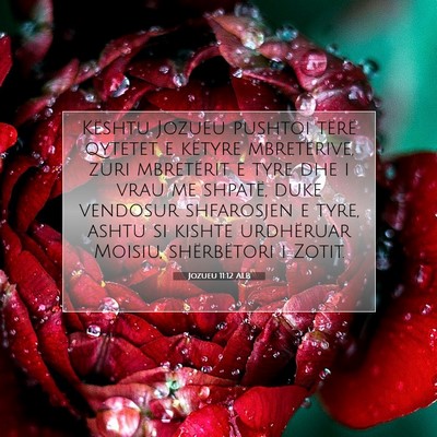 Picture 07 - Jozueu 11:12 ALB - Kështu Jozueu pushtoi tërë qytetet e këtyre - Bible Verse Picture