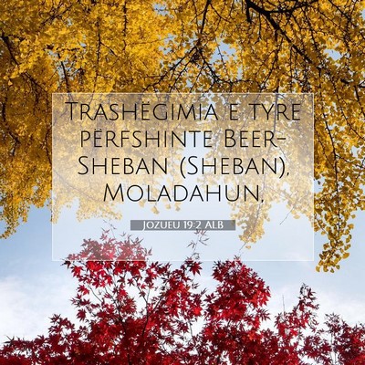 Picture 07 - Jozueu 19:2 ALB - Trashëgimia e tyre përfshinte Beer-Sheban - Bible Verse Picture