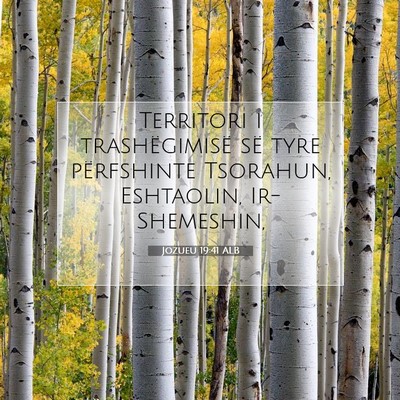 Picture 07 - Jozueu 19:41 ALB - Territori i trashëgimisë së tyre përfshinte - Bible Verse Picture