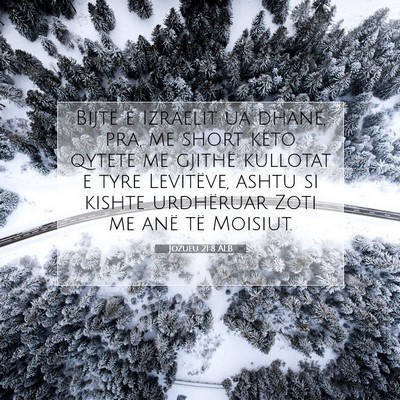 Picture 07 - Jozueu 21:8 ALB - Bijtë e Izraelit ua dhanë, pra, me short këto - Bible Verse Picture