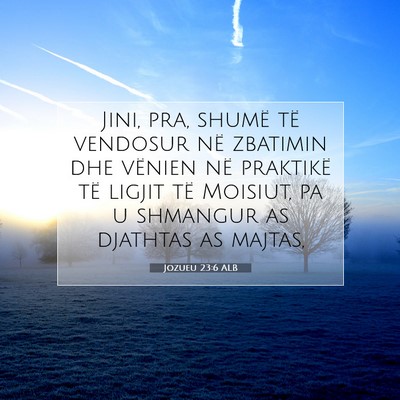 Picture 07 - Jozueu 23:6 ALB - Jini, pra, shumë të vendosur në zbatimin dhe - Bible Verse Picture