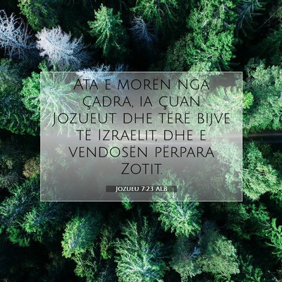 Picture 07 - Jozueu 7:23 ALB - Ata e morën nga çadra, ia çuan Jozueut dhe - Bible Verse Picture