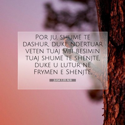 Picture 07 - Juda 1:20 ALB - Por ju, shumë të dashur, duke ndërtuar veten - Bible Verse Picture
