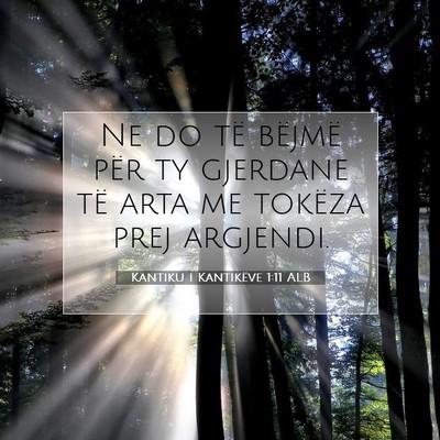 Picture 07 - Kantiku i Kantikëve 1:11 ALB - Ne do të bëjmë për ty gjerdane të arta me - Bible Verse Picture