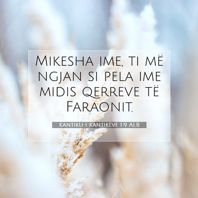 Picture 07 - Kantiku i Kantikëve 1:9 ALB - Mikesha ime, ti më ngjan si pela ime midis - Bible Verse Picture
