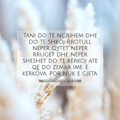 Picture 07 - Kantiku i Kantikëve 3:2 ALB - Tani do të ngrihem dhe do të shkoj rrotull - Bible Verse Picture