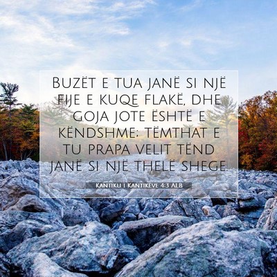 Picture 07 - Kantiku i Kantikëve 4:3 ALB - Buzët e tua janë si një fije e kuqe flakë, - Bible Verse Picture