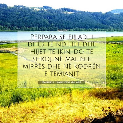 Picture 07 - Kantiku i Kantikëve 4:6 ALB - Përpara se flladi i ditës të ndihet dhe hijet - Bible Verse Picture